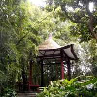 广州兰圃公园一日游