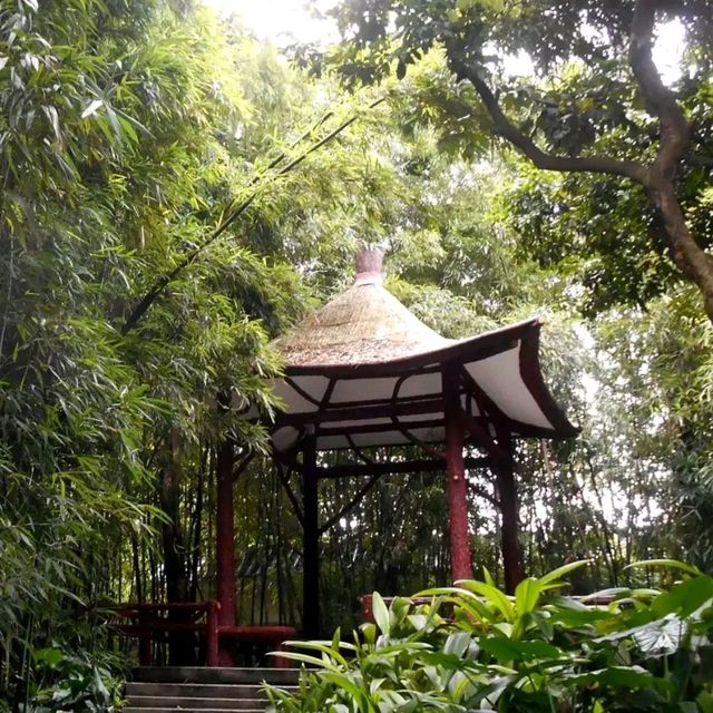 广州兰圃公园一日游