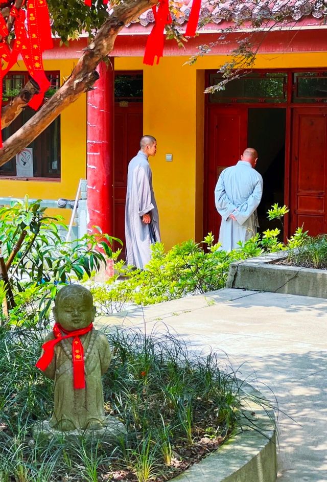 Hidden in the suburbs of Hangzhou, there is a "Little Tianzhu" that not only attracts many celebrities to check in, but also seems like a fairyland.