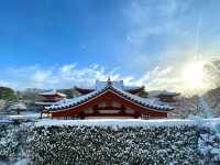 【Kyoto · Snowy Byodoin Temple · 2023】