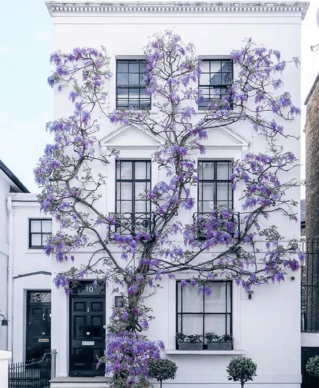 London, UK | Strolling through the streets of Notting Hill in the acclaimed film "Notting Hill"