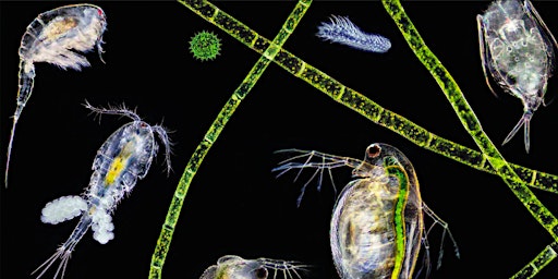 PLANKTON TRAINING with Maya Ronchetti | The Exchange