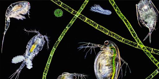 PLANKTON TRAINING with Maya Ronchetti | The Exchange