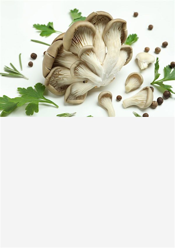 How to Grow Oyster Mushrooms, In-Person Class | UF IFAS Extension Orange County
