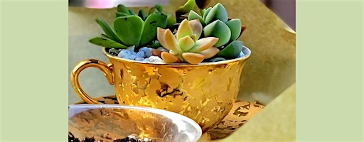 "Teacup Gardens: A Sip of Nature" at The Dragonfly Winery | Dragonfly Tea Room
