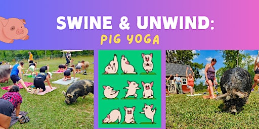Swine and Unwind: Pig Yoga | Pigsburgh Squealers Rescue