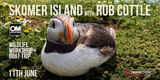 Skomer Island Photography Trip w/ Rob Cottle - OM SYSTEMS Ambassador | Skomer Island