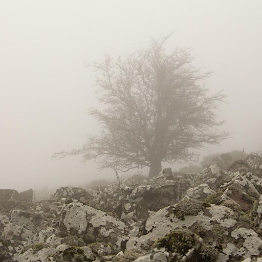Horror Poetry - Summer Workshop for Adults | Hereford College of Arts