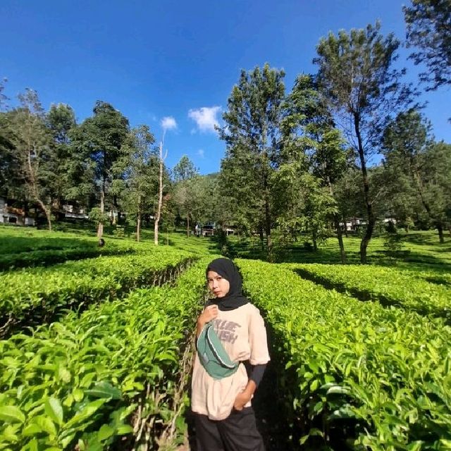 Puncak, Bogor