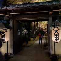 2021最後の紅葉を楽しむ