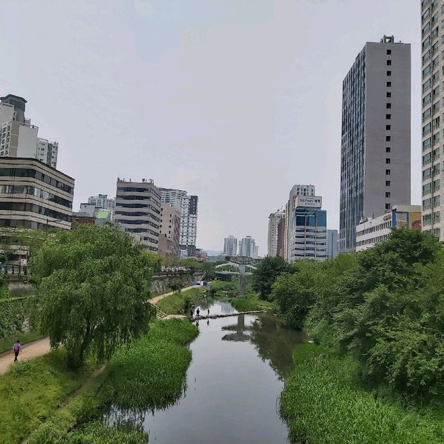Urban oasis in Seoul