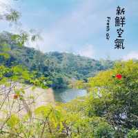 冷門行山路線