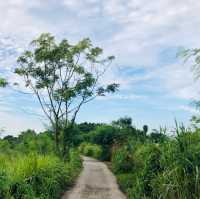 濕地冒險🔦南生圍紅樹林濕地🌳