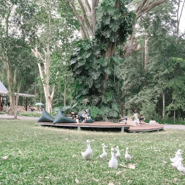 🚣🚣ASANA Khaoyai 🚣🚣