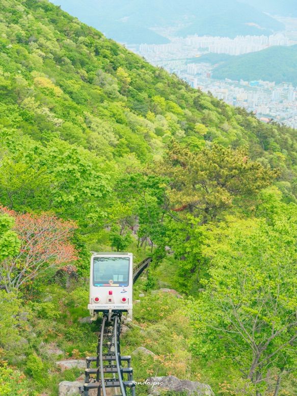 거제 봄 여행은 무조건 여기!