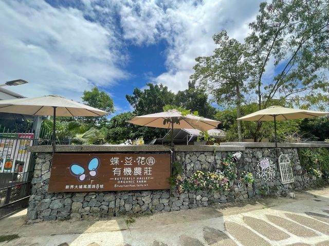 📍蝶豆花有機農莊