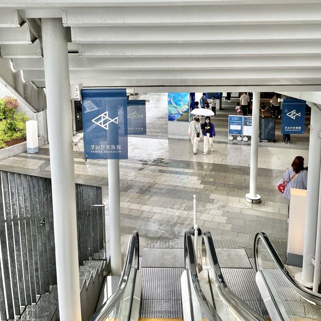 すみだ水族館でよく見る写真の場所