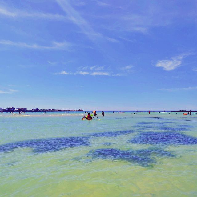 🏝 오름을 바라보며 해수욕을 즐기는, 함덕해수욕장