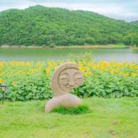 🌻해바라기와 하도지의 조화가 아름다운 [경주카페, 바실라]