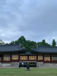🌃밤에 더욱 빛나는 도심속 낭만 여행, 단돈 1000원에 즐기는 방법✨