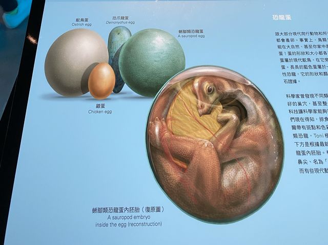🦕八大．尋龍記🦖
