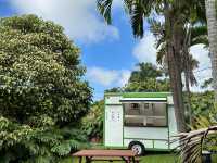 ハワイ島コナにある小さなコーヒー農園