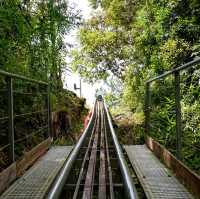 นั่ง Alpine Coaster ลงไปน้ำตก 