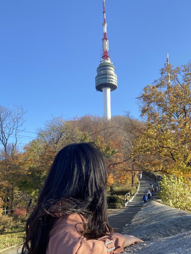 멀리갈 필요가 어디있나요? 서울 N타워에서 단풍 구경하면 되죠🍁