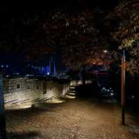 밤의 낙산공원, 로맨틱 그 잡채...🌃