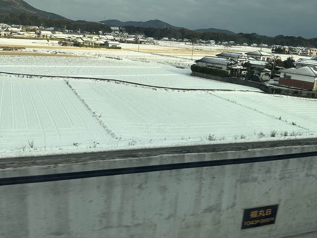 【兵庫】三ノ宮駅近のラーメン屋さん