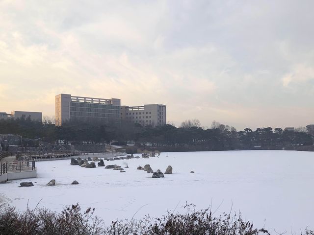 매번 새로운 일산 호수공원! 그 설경과 해빙
