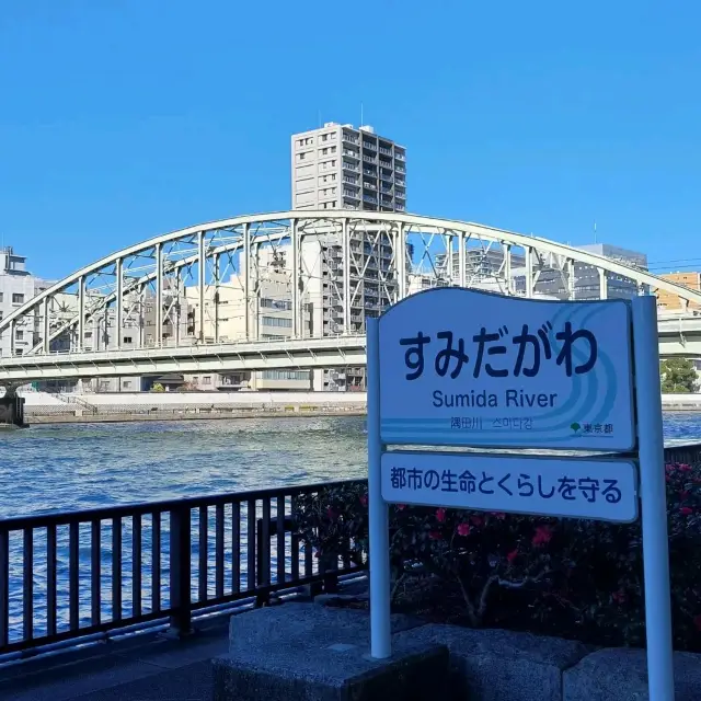 Sightseeing in Sumida River