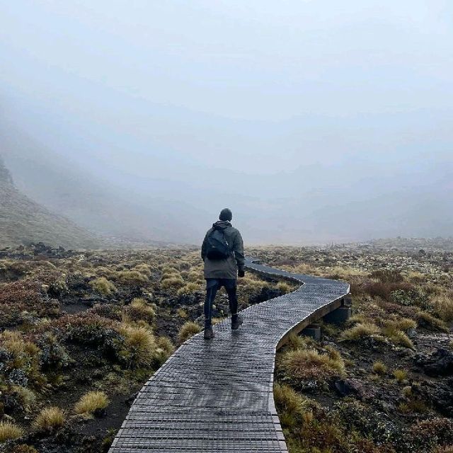 Moments at Tongariro National Park, NZ