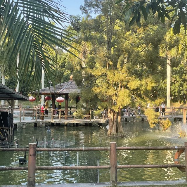【 餵小動物的有機生態園 】