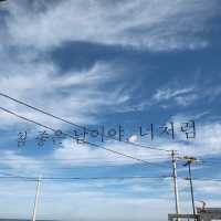 포항 오도리 바다앞 ‘린도카페’