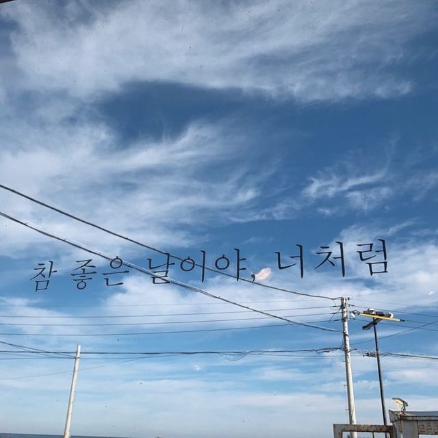 포항 오도리 바다앞 ‘린도카페’