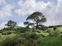 One of the best place in New Zealand! 