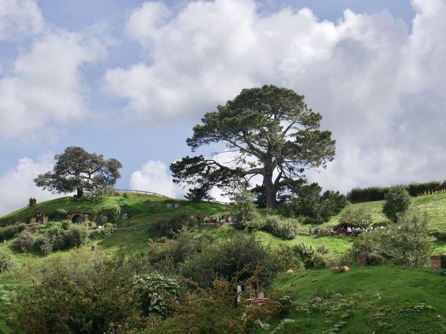 One of the best place in New Zealand! 