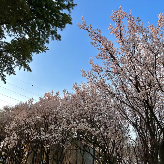 선유도공원