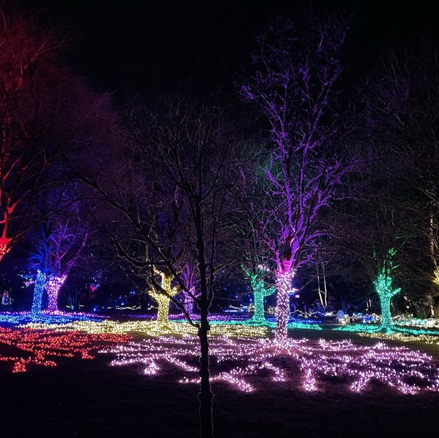 Christmas lights festival at the botanical gardens 