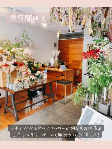 花lab Nocturne Trip Com 横浜の旅のブログ