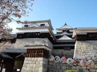 四國愛媛縣必參觀打卡的名城｜松山城