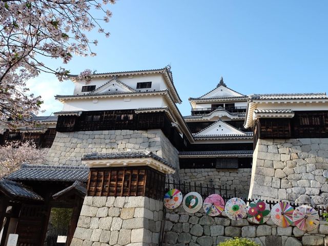 四國愛媛縣必參觀打卡的名城｜松山城