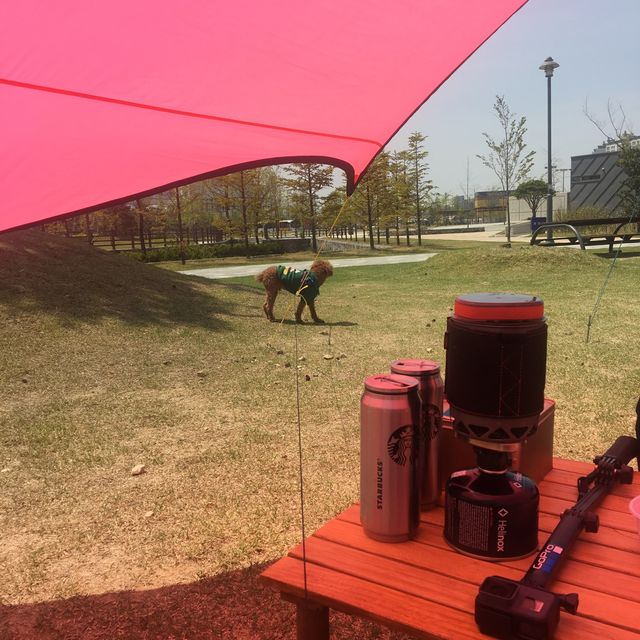 도심 속의 캠핑, ⛺️천안 신방공원에서 반려견과 즐기는 여름 소풍