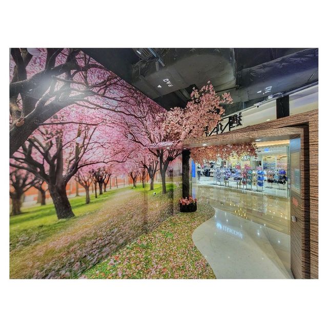 遇．花．緣。櫻花祭。北角匯 