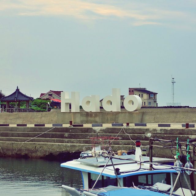 📸 제주마을의 운치가 느껴지는 항구, 하도포구