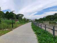 Tampines Naturalised river