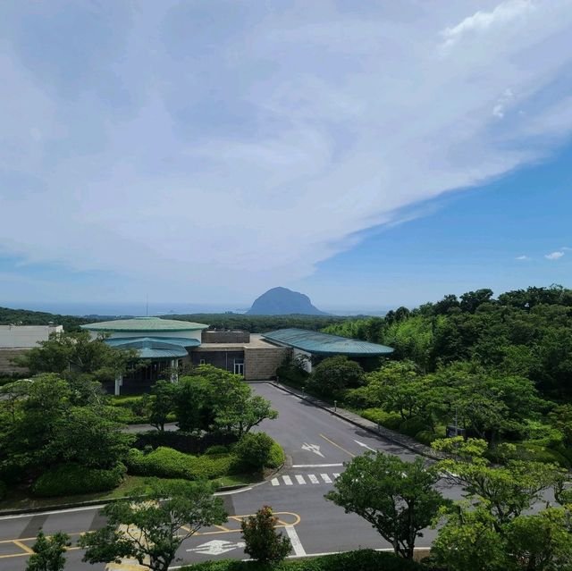 제주 머큐어 엠버서더 호캉스