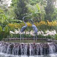 The UNESCO National Orchid Gardens