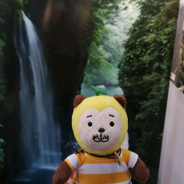 宮崎檸檬仔一期一會旅遊展🍋🐶